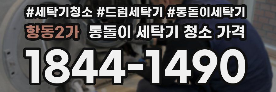 항동2가 통돌이 세탁기 청소 가격
