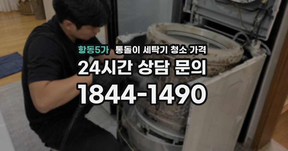 항동5가 통돌이 세탁기 청소 가격