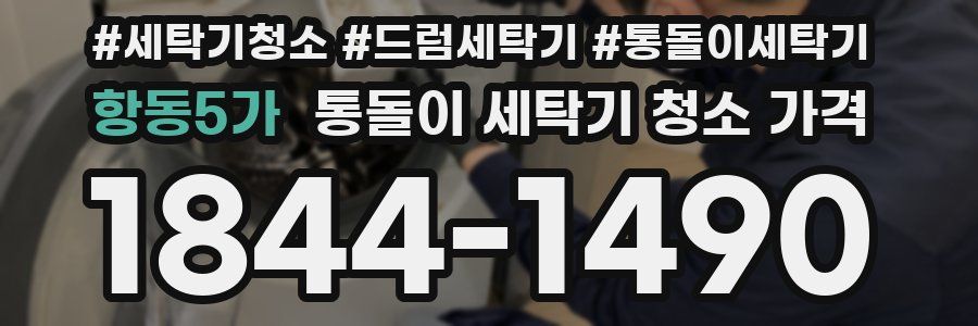 항동5가 통돌이 세탁기 청소 가격