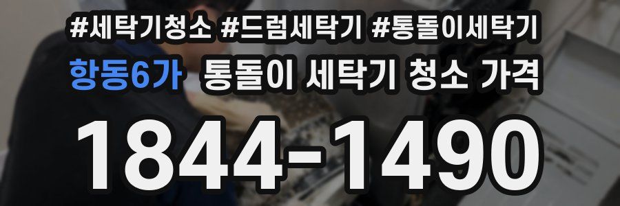 항동6가 통돌이 세탁기 청소 가격