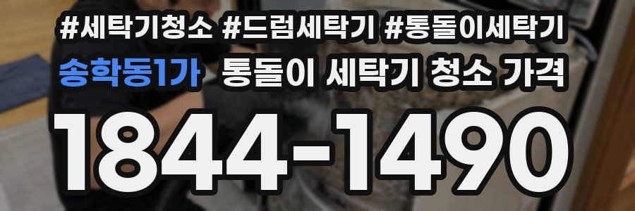 송학동1가 통돌이 세탁기 청소 가격
