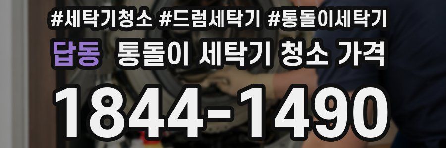 답동 통돌이 세탁기 청소 가격