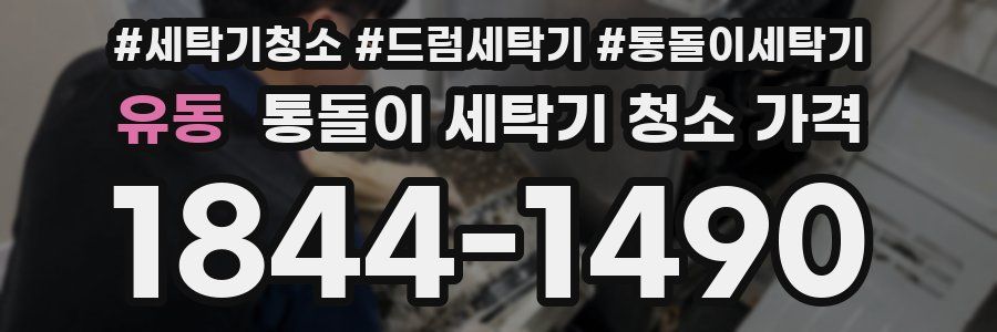 유동 통돌이 세탁기 청소 가격
