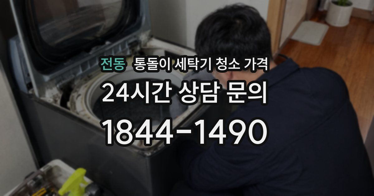 전동 통돌이 세탁기 청소 가격