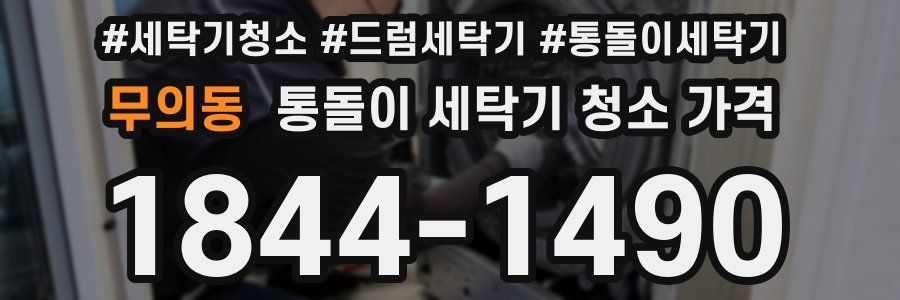 무의동 통돌이 세탁기 청소 가격
