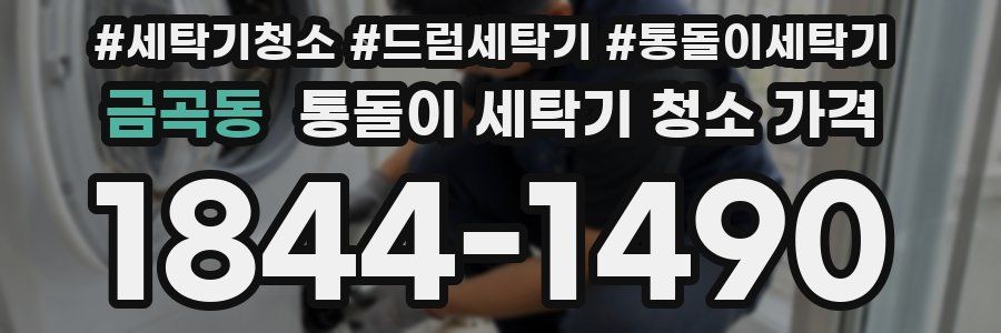 금곡동 통돌이 세탁기 청소 가격