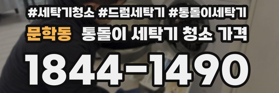 문학동 통돌이 세탁기 청소 가격