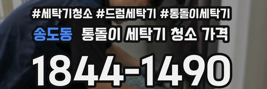 송도동 통돌이 세탁기 청소 가격