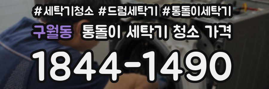 구월동 통돌이 세탁기 청소 가격