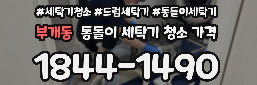 부개동 통돌이 세탁기 청소 가격