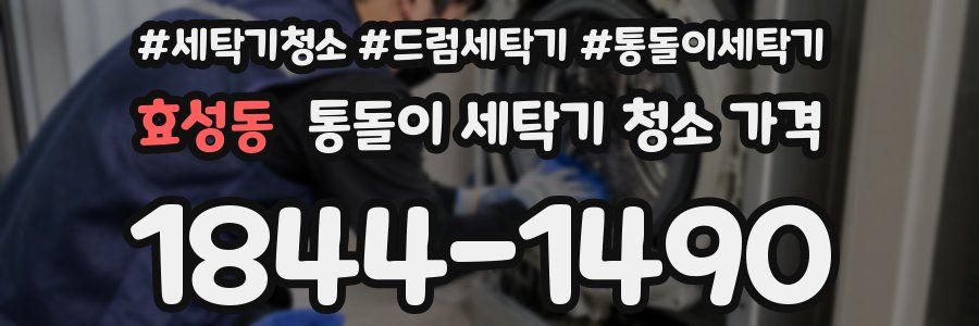 효성동 통돌이 세탁기 청소 가격
