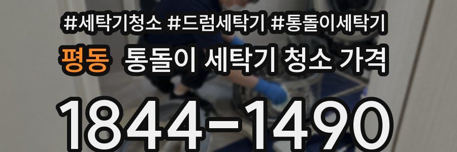 평동 통돌이 세탁기 청소 가격