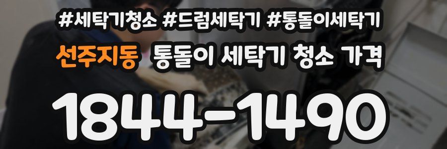 선주지동 통돌이 세탁기 청소 가격