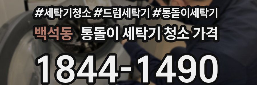 백석동 통돌이 세탁기 청소 가격
