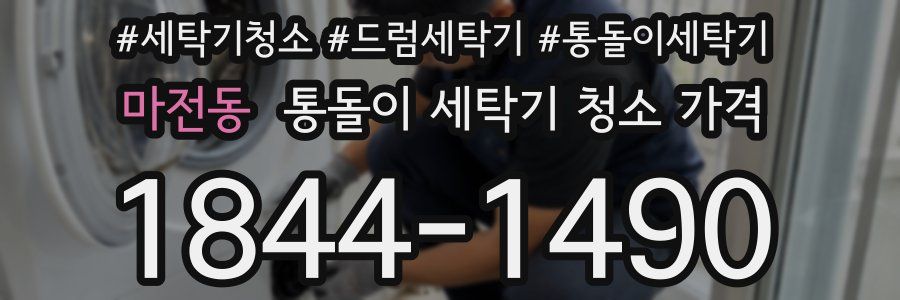 마전동 통돌이 세탁기 청소 가격
