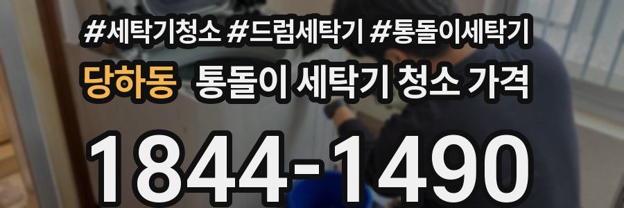 당하동 통돌이 세탁기 청소 가격