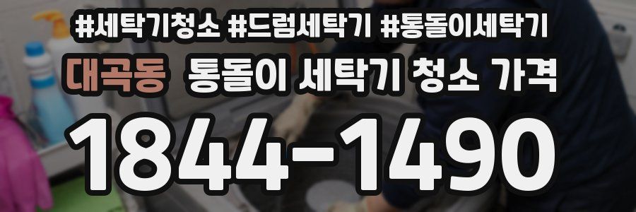 대곡동 통돌이 세탁기 청소 가격