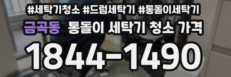 금곡동 통돌이 세탁기 청소 가격