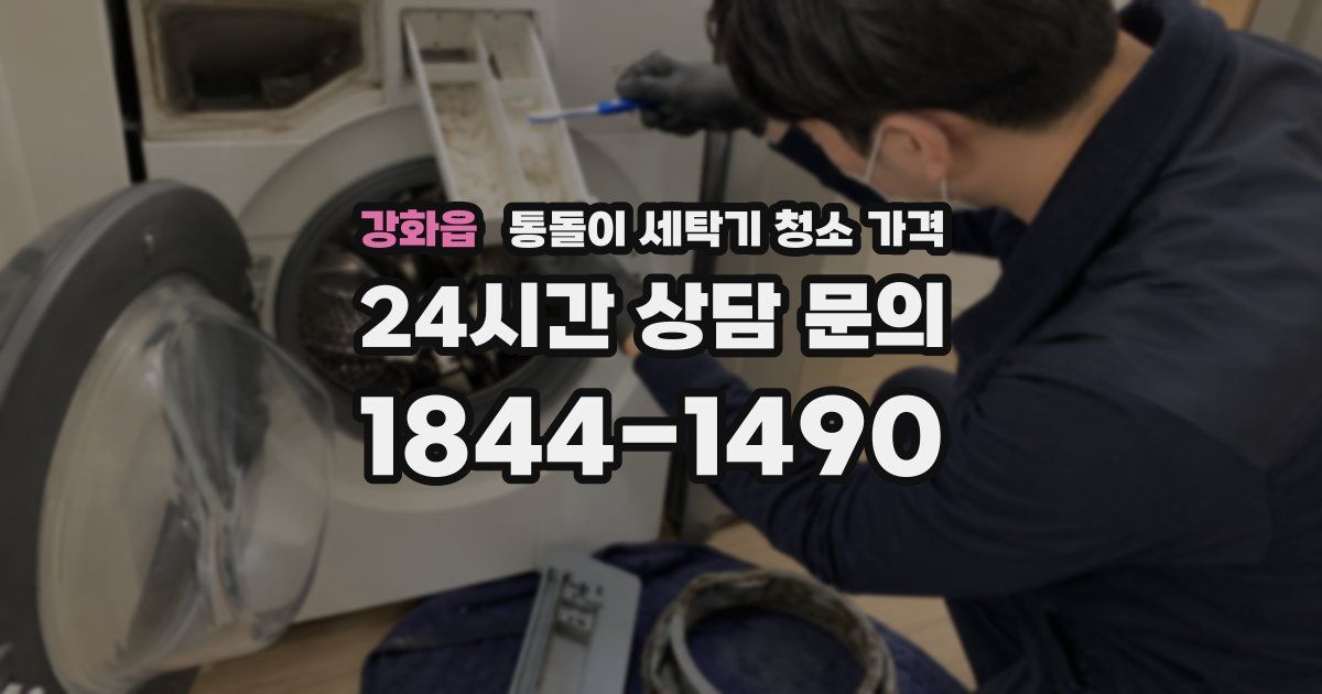 강화읍 통돌이 세탁기 청소 가격