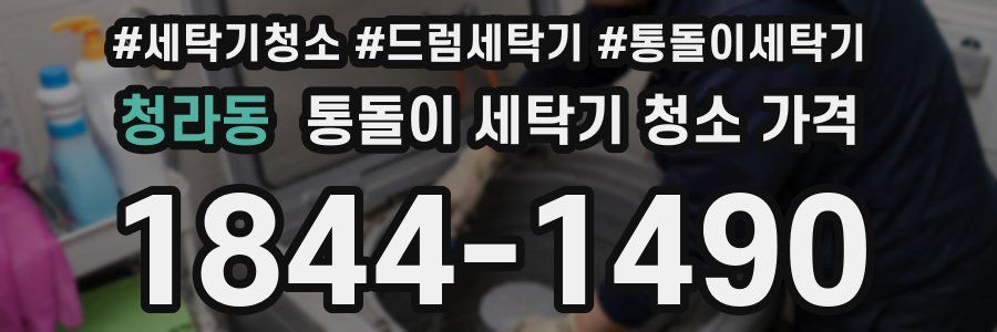 청라동 통돌이 세탁기 청소 가격