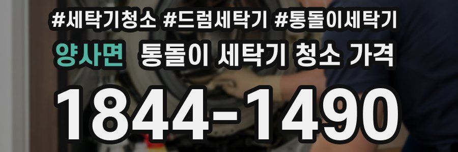 양사면 통돌이 세탁기 청소 가격