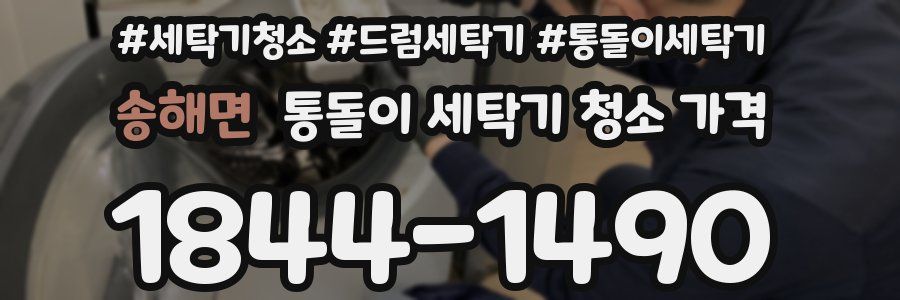 송해면 통돌이 세탁기 청소 가격