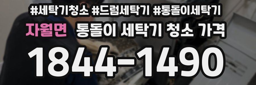 자월면 통돌이 세탁기 청소 가격