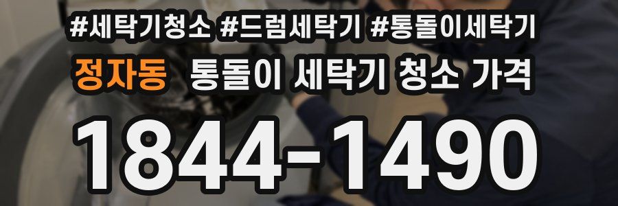 정자동 통돌이 세탁기 청소 가격