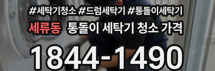 세류동 통돌이 세탁기 청소 가격