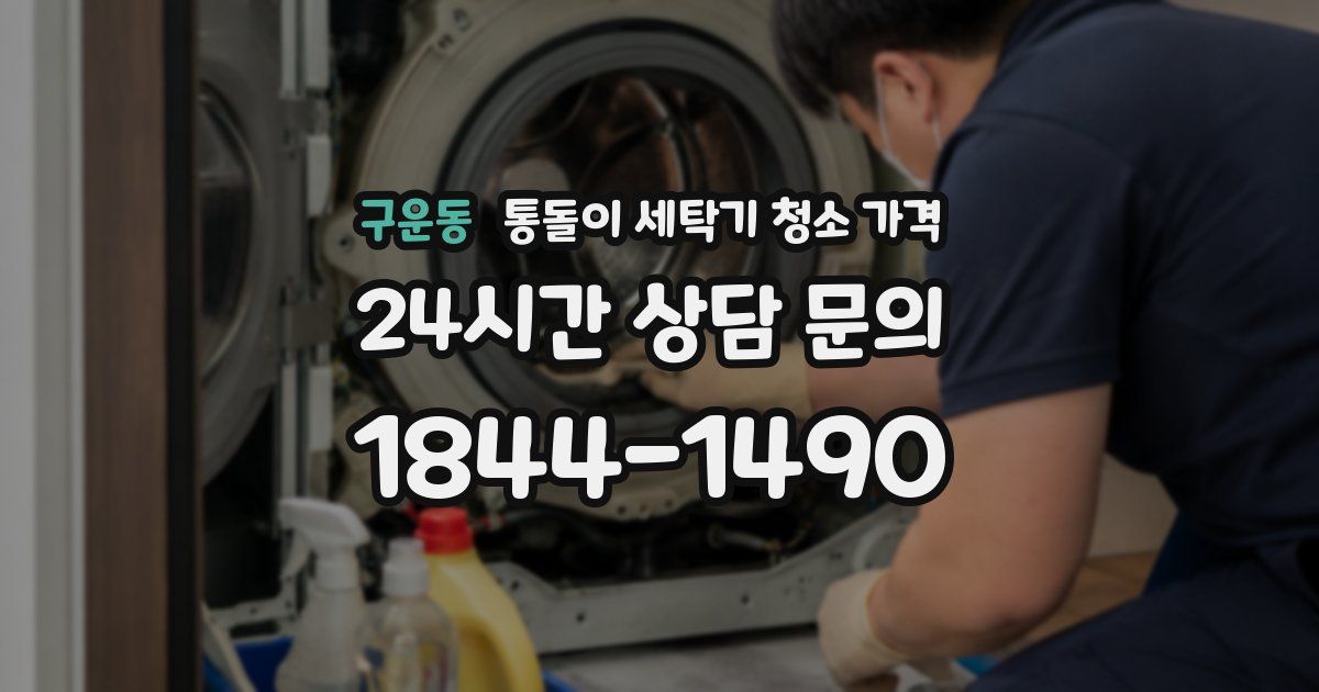 구운동 통돌이 세탁기 청소 가격