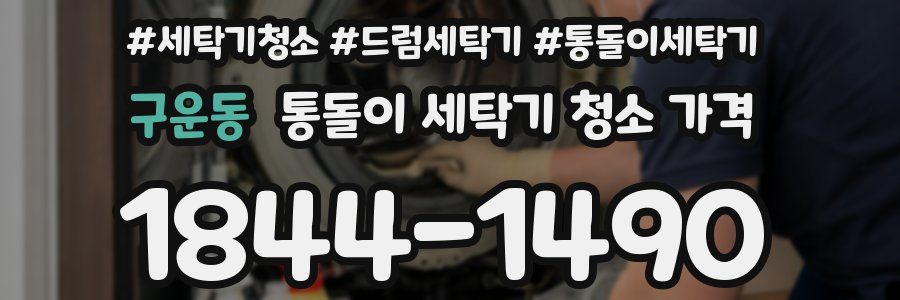 구운동 통돌이 세탁기 청소 가격