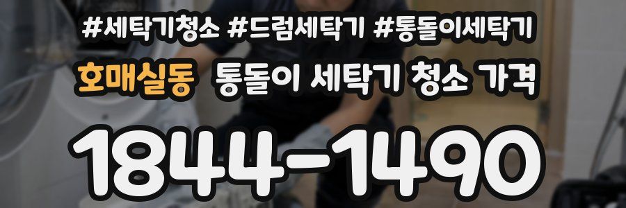 호매실동 통돌이 세탁기 청소 가격