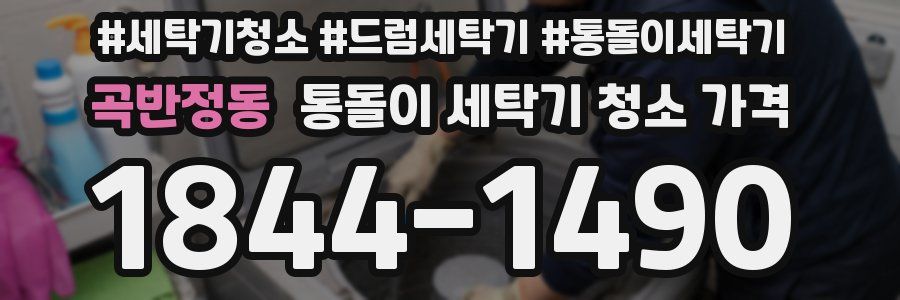 곡반정동 통돌이 세탁기 청소 가격