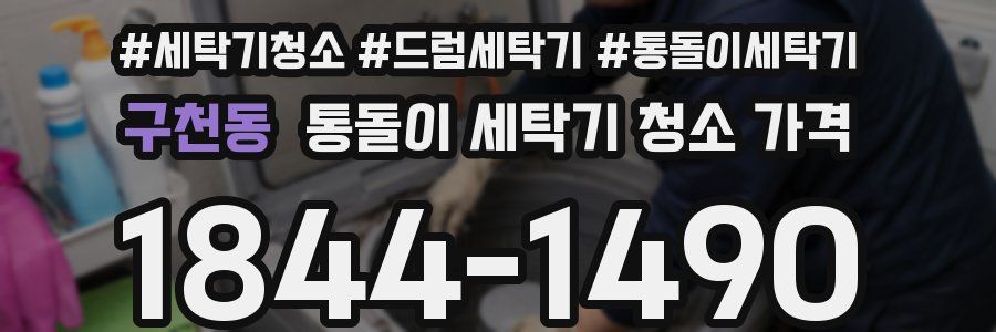구천동 통돌이 세탁기 청소 가격