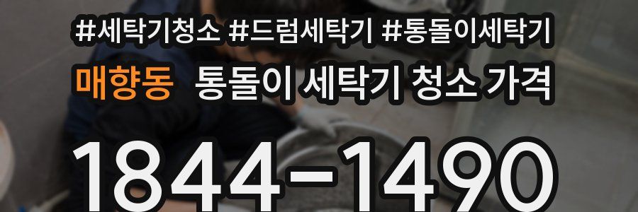 매향동 통돌이 세탁기 청소 가격