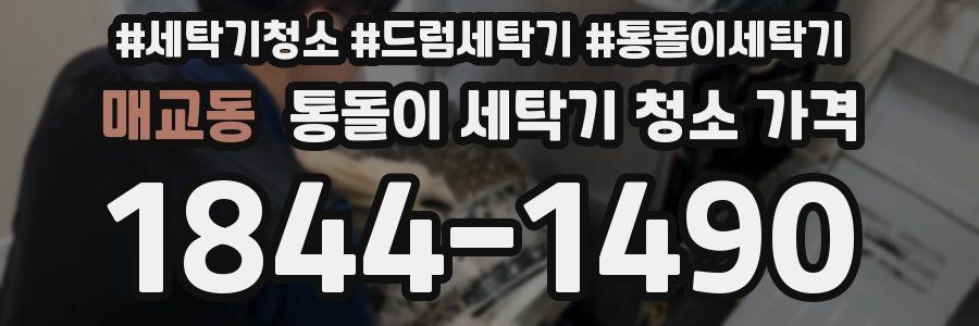 매교동 통돌이 세탁기 청소 가격
