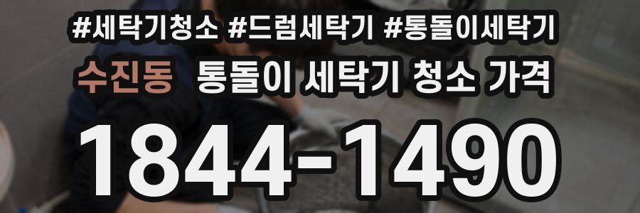 수진동 통돌이 세탁기 청소 가격