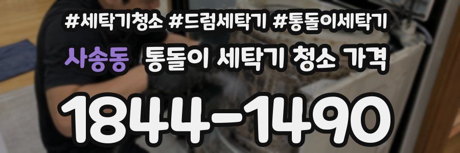 사송동 통돌이 세탁기 청소 가격