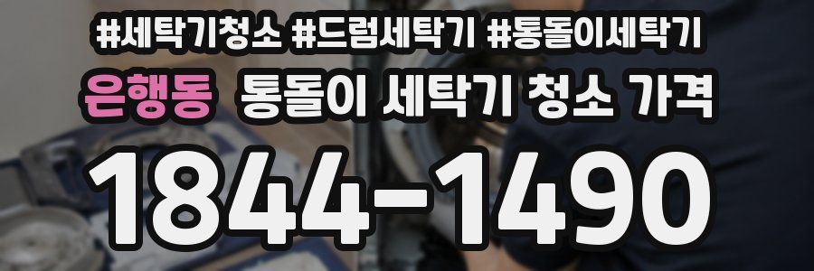 은행동 통돌이 세탁기 청소 가격