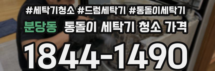 분당동 통돌이 세탁기 청소 가격