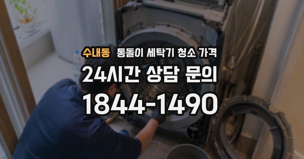 수내동 통돌이 세탁기 청소 가격