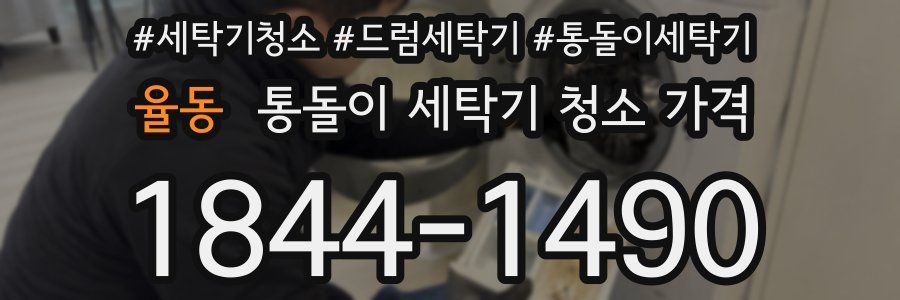 율동 통돌이 세탁기 청소 가격