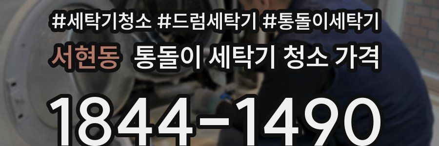 서현동 통돌이 세탁기 청소 가격