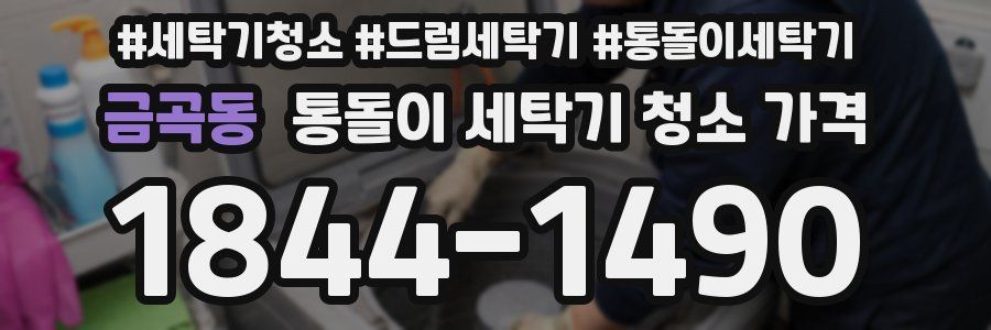 금곡동 통돌이 세탁기 청소 가격