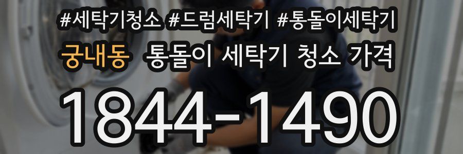 궁내동 통돌이 세탁기 청소 가격