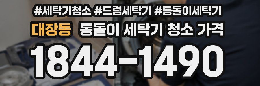 대장동 통돌이 세탁기 청소 가격