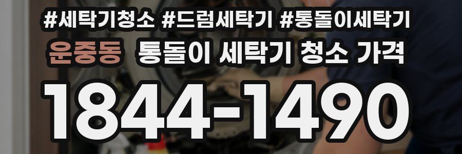 운중동 통돌이 세탁기 청소 가격