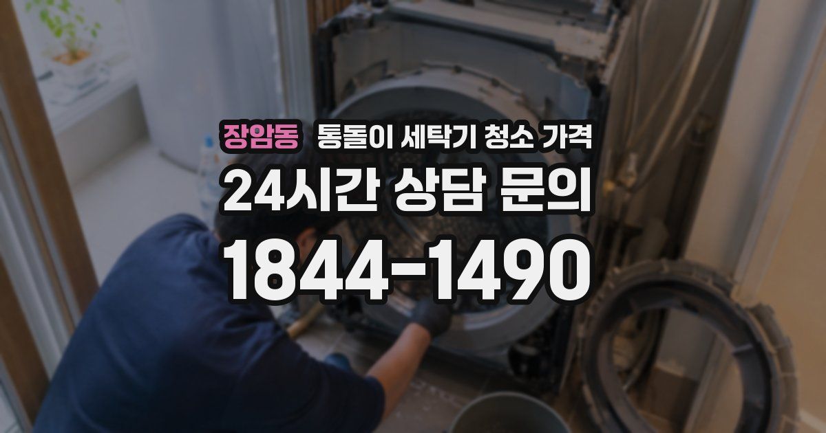 장암동 통돌이 세탁기 청소 가격