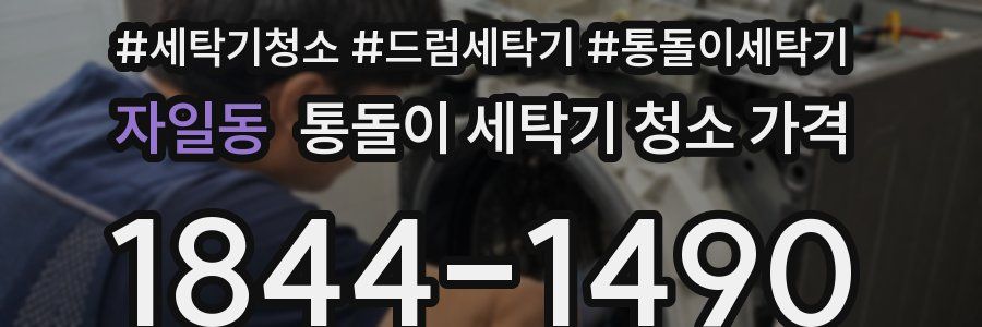 자일동 통돌이 세탁기 청소 가격