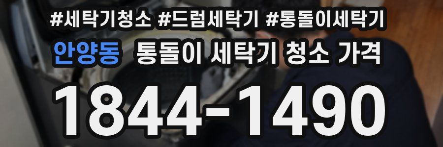 안양동 통돌이 세탁기 청소 가격
